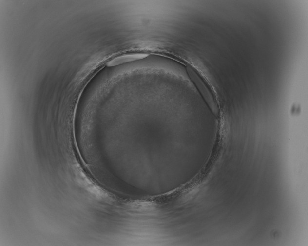 X0000111650577200908071410