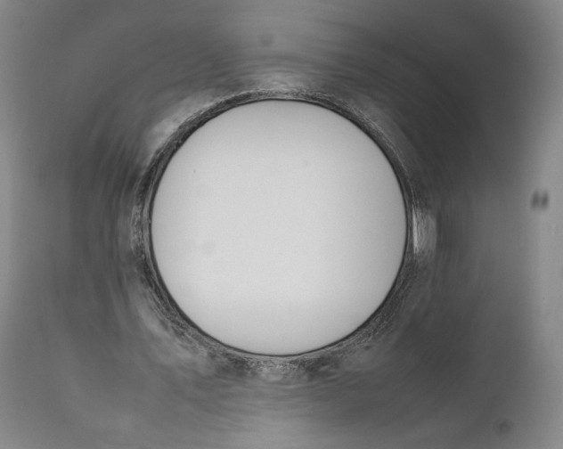 X0000111650579200908071410