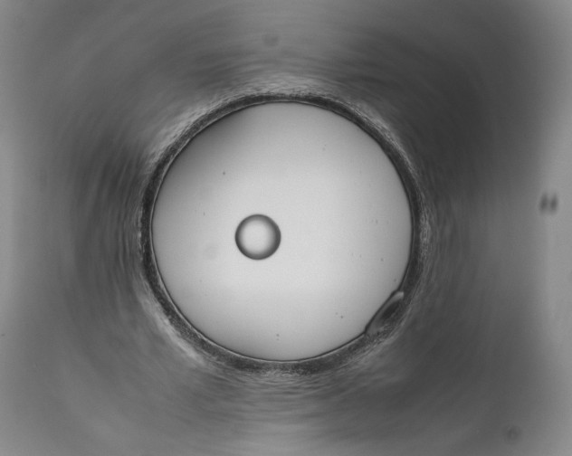 X0000111650581200908071410