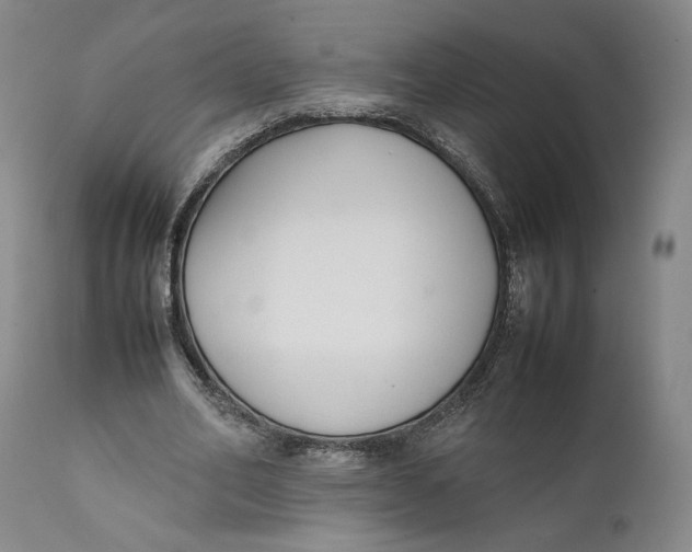 X0000111650582200908071410