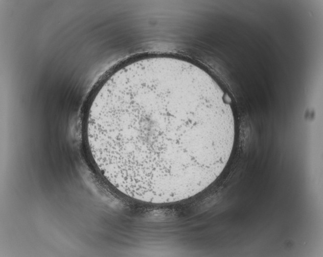 X0000111650584200908071410