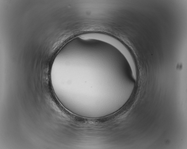 X0000111650585200908071410