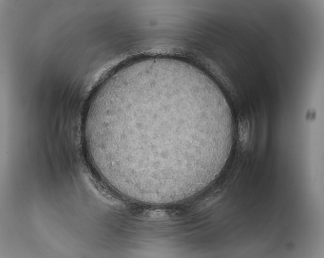 X0000111650588200908071410