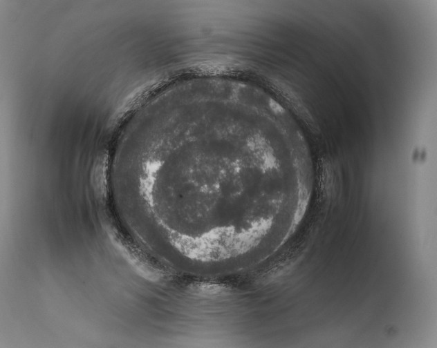 X0000111650590200908071410