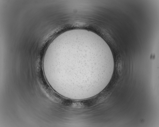 X0000111650591200908071410