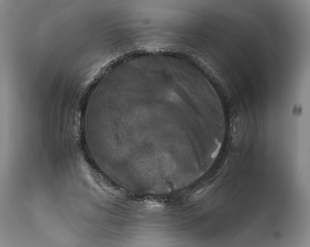 X0000111650592200908071410