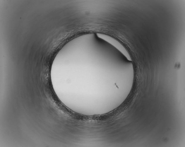 X0000111650593200908071410