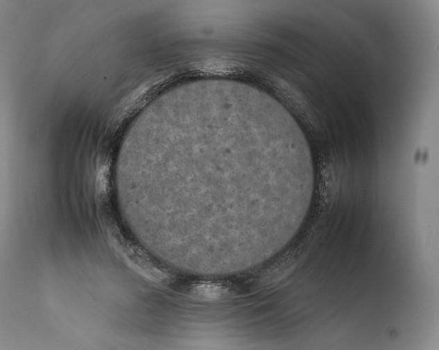 X0000111650596200908071410