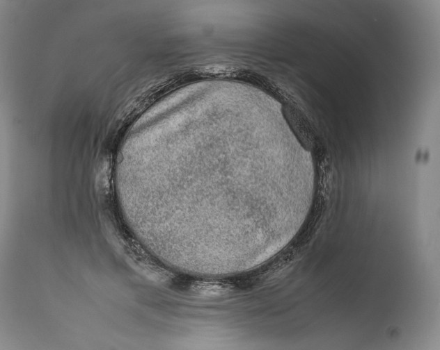 X0000111650597200908071410