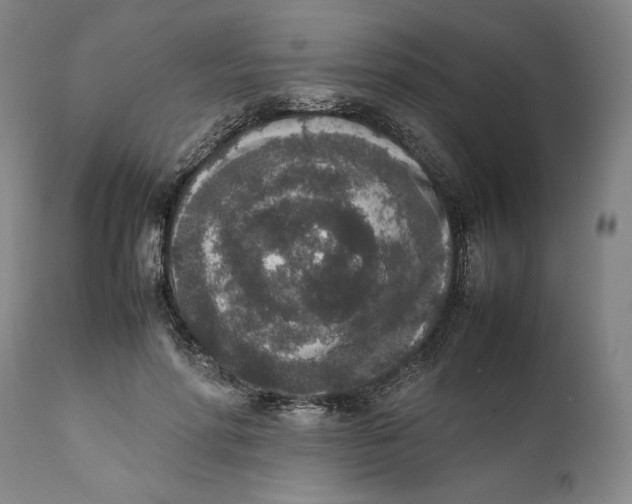X0000111650598200908071410