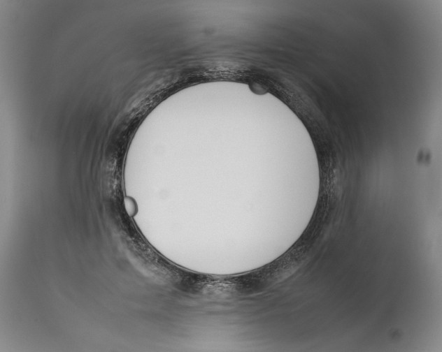 X0000111650599200908071410