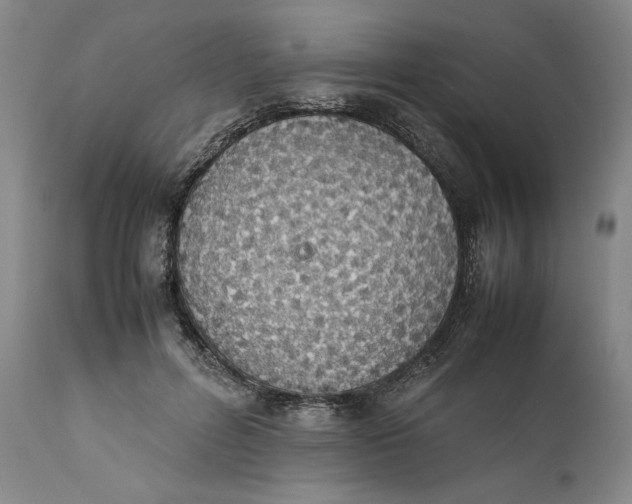 X0000111650600200908071410