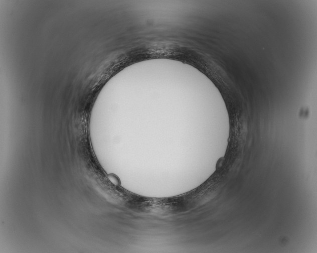 X0000111650601200908071410