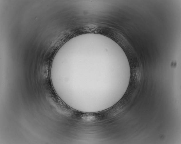 X0000111650602200908071410
