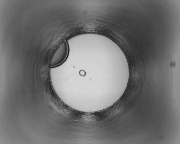 X0000111650603200908071410