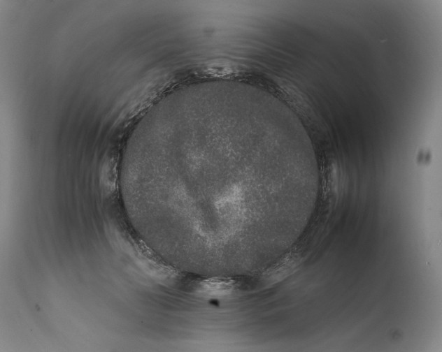 X0000111650606200908071410