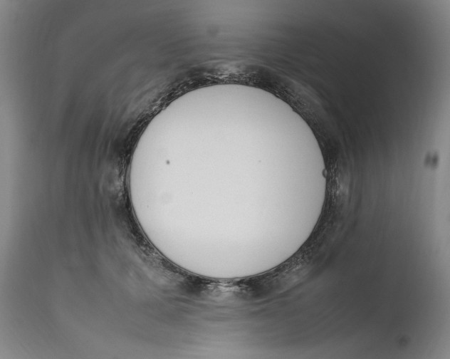 X0000111650607200908071410