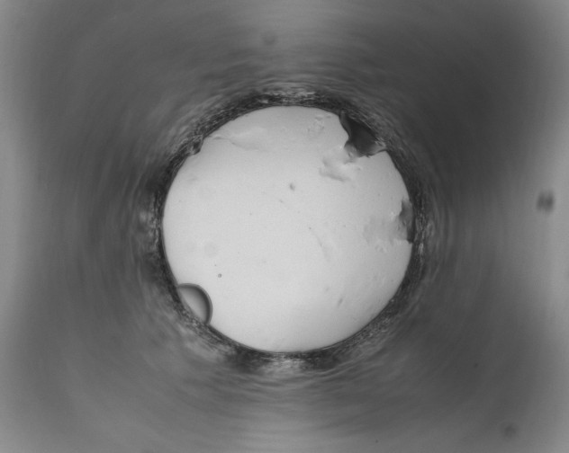 X0000111650609200908071410