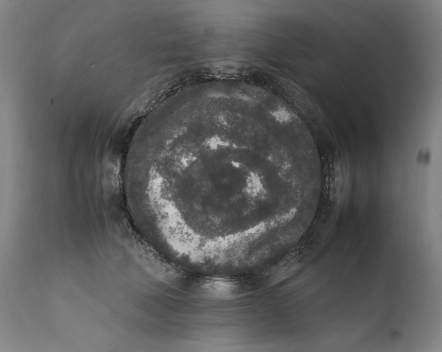 X0000111650610200908071410