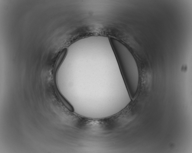 X0000111650611200908071410