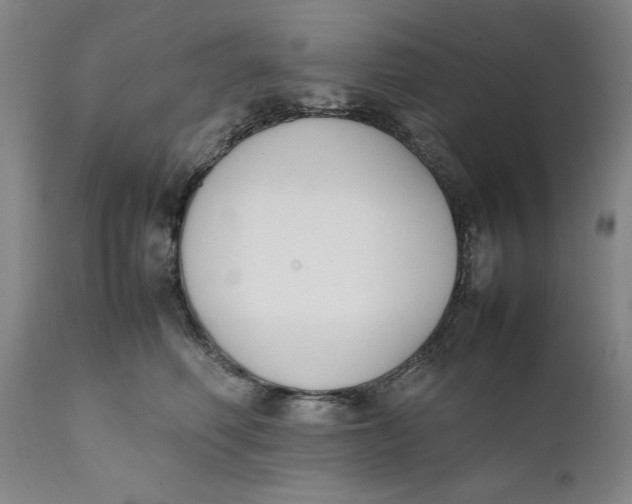 X0000111650614200908071410