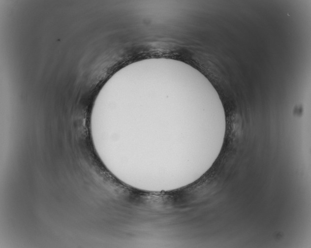 X0000111650615200908071410