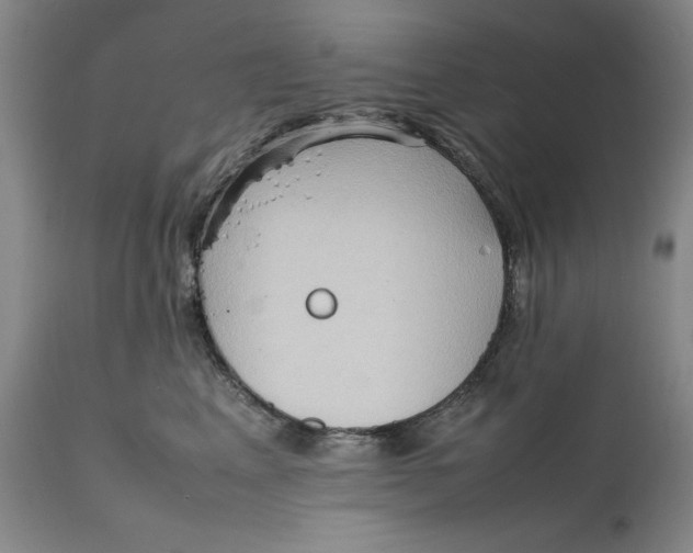 X0000111650617200908071410