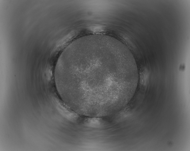 X0000111650618200908071409