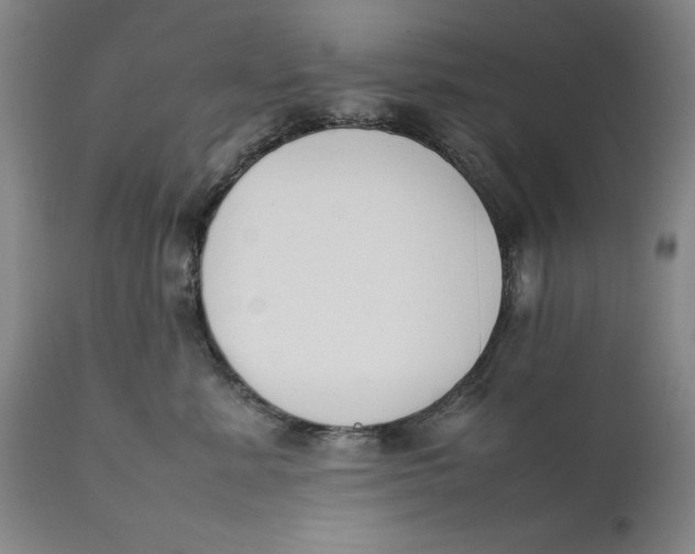 X0000111650619200908071409