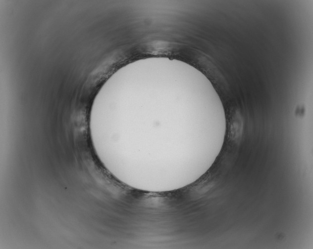 X0000111650620200908071409