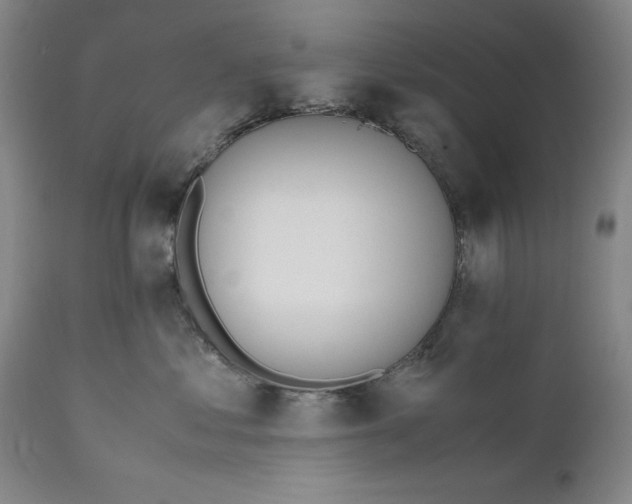 X0000111650621200908071409