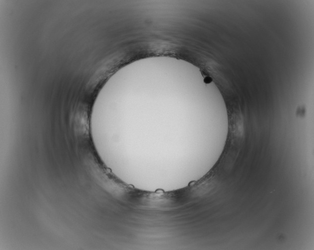 X0000111650622200908071409