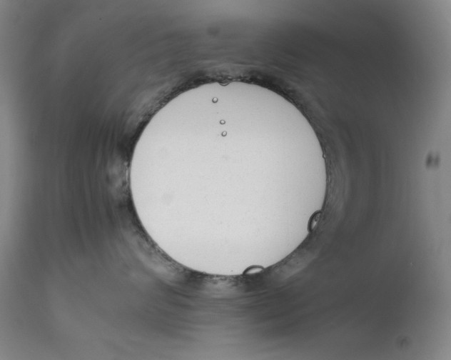 X0000111650624200908071409