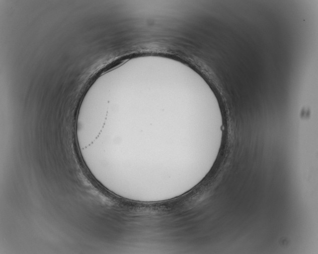X0000111650625200908071408
