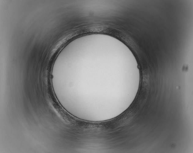X0000111650626200908071408