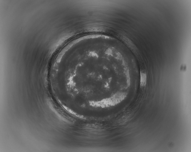 X0000111650627200908071408