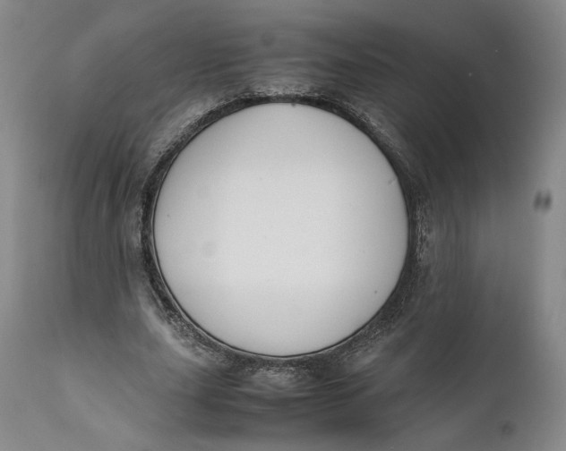 X0000111650631200908071408