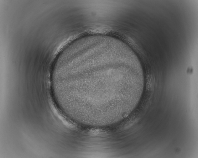 X0000111650634200908071408