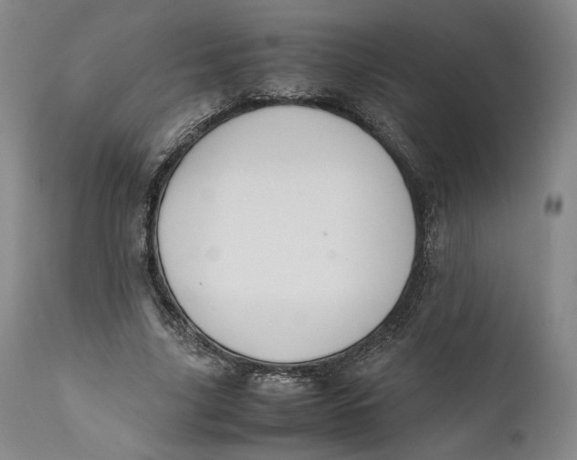 X0000111650635200908071408