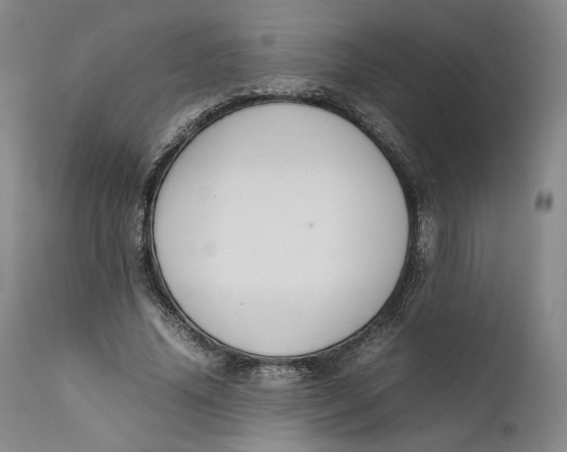 X0000111650636200908071408