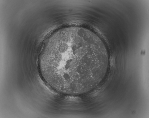 X0000111650637200908071408