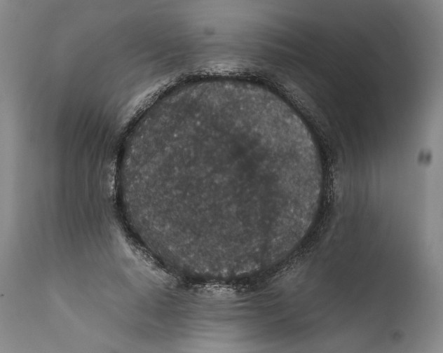 X0000111650640200908071409