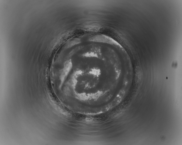 X0000111650641200908071409