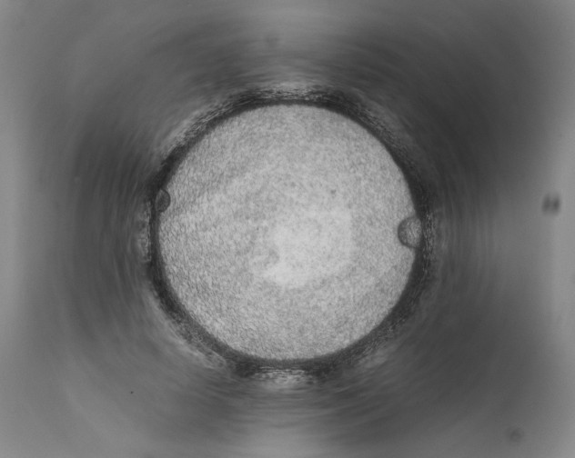 X0000111650642200908071409