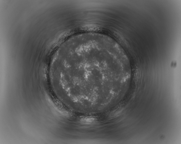 X0000111650643200908071409