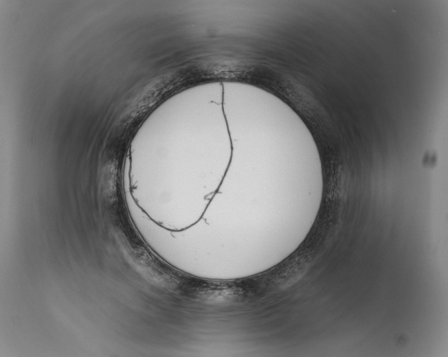 X0000111650646200908071409