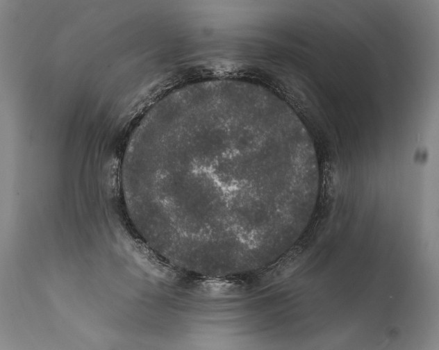 X0000111650650200908071409