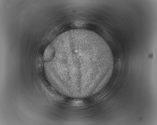 X0000111650651200908071409