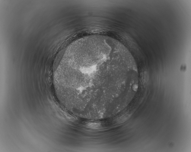 X0000111650653200908071409