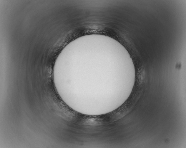 X0000111650657200908071409